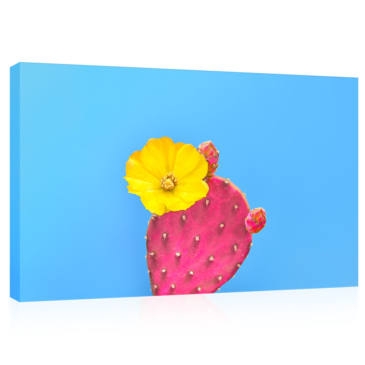 Canvas Print -  Cactus With Flower On Blue Background #E0808