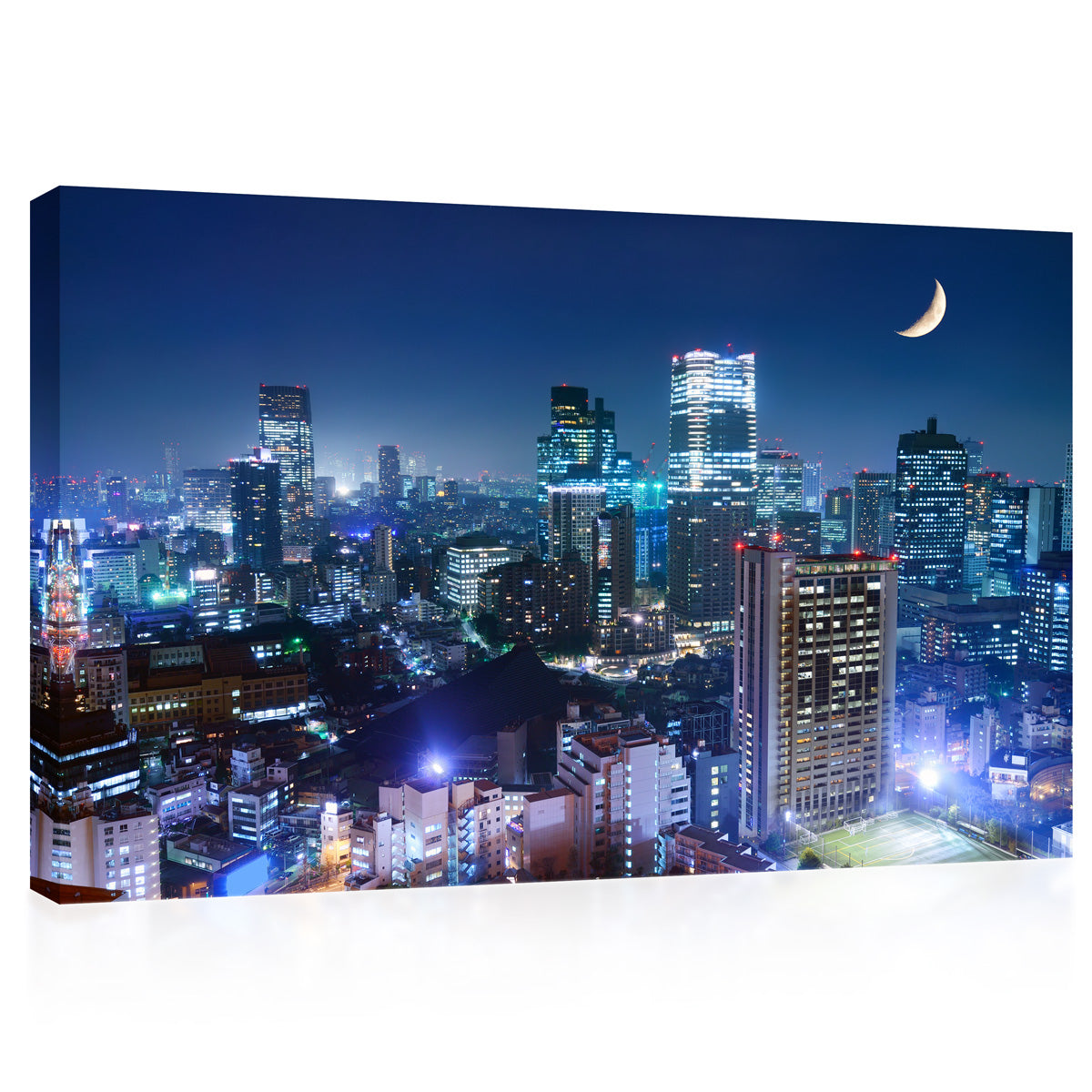 Canvas Print -  Roppongi District Nightscape, Tokyo, Japan #E0479