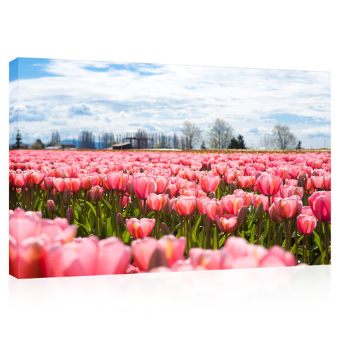 Impression sur toile - Champ de tulipes en fleurs au printemps #E0729