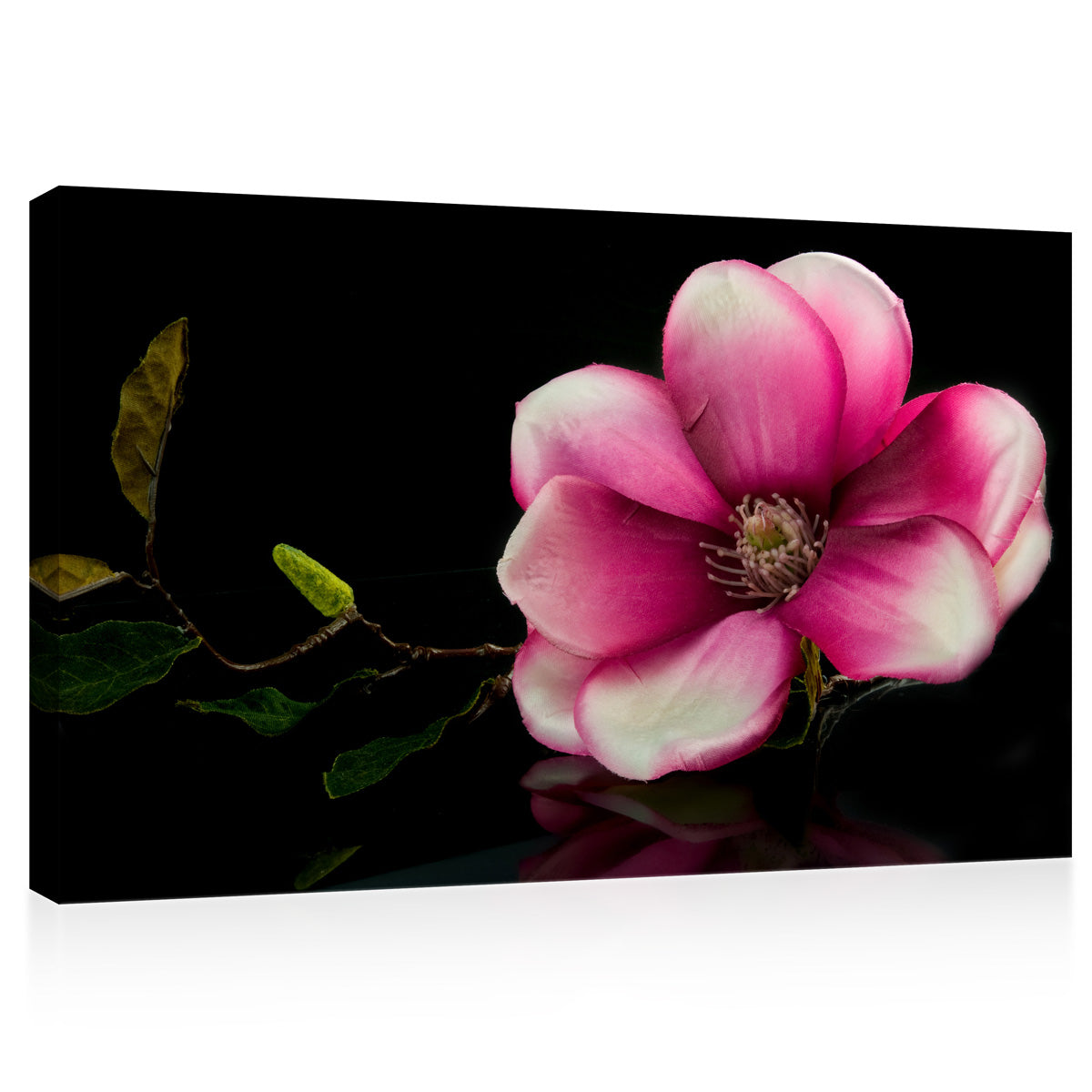 Canvas Print -  Tropical Pink Flower #E0666