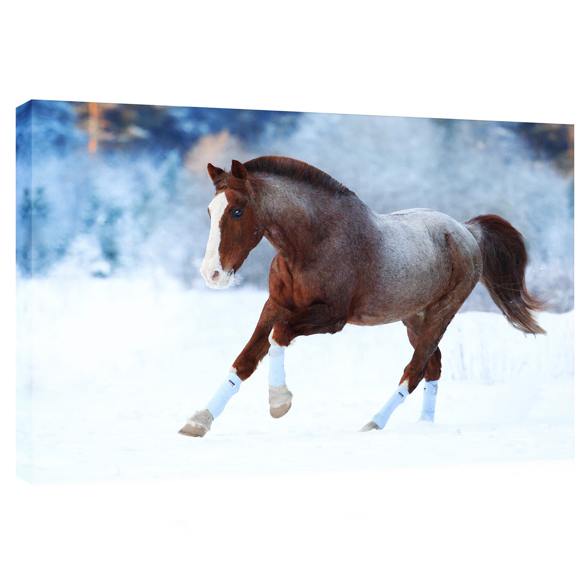 Impression sur toile - Cheval en hiver #E0898