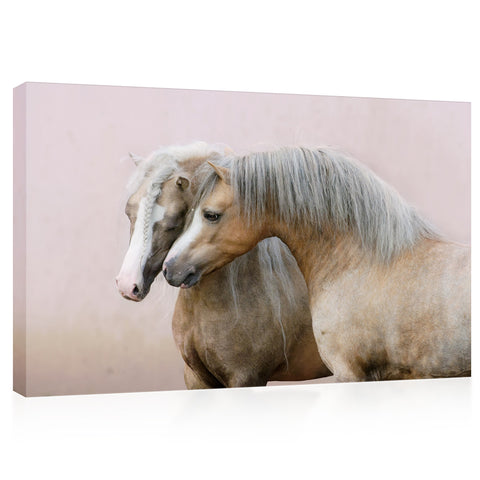 Impression sur toile - Deux poneys gallois #E0904