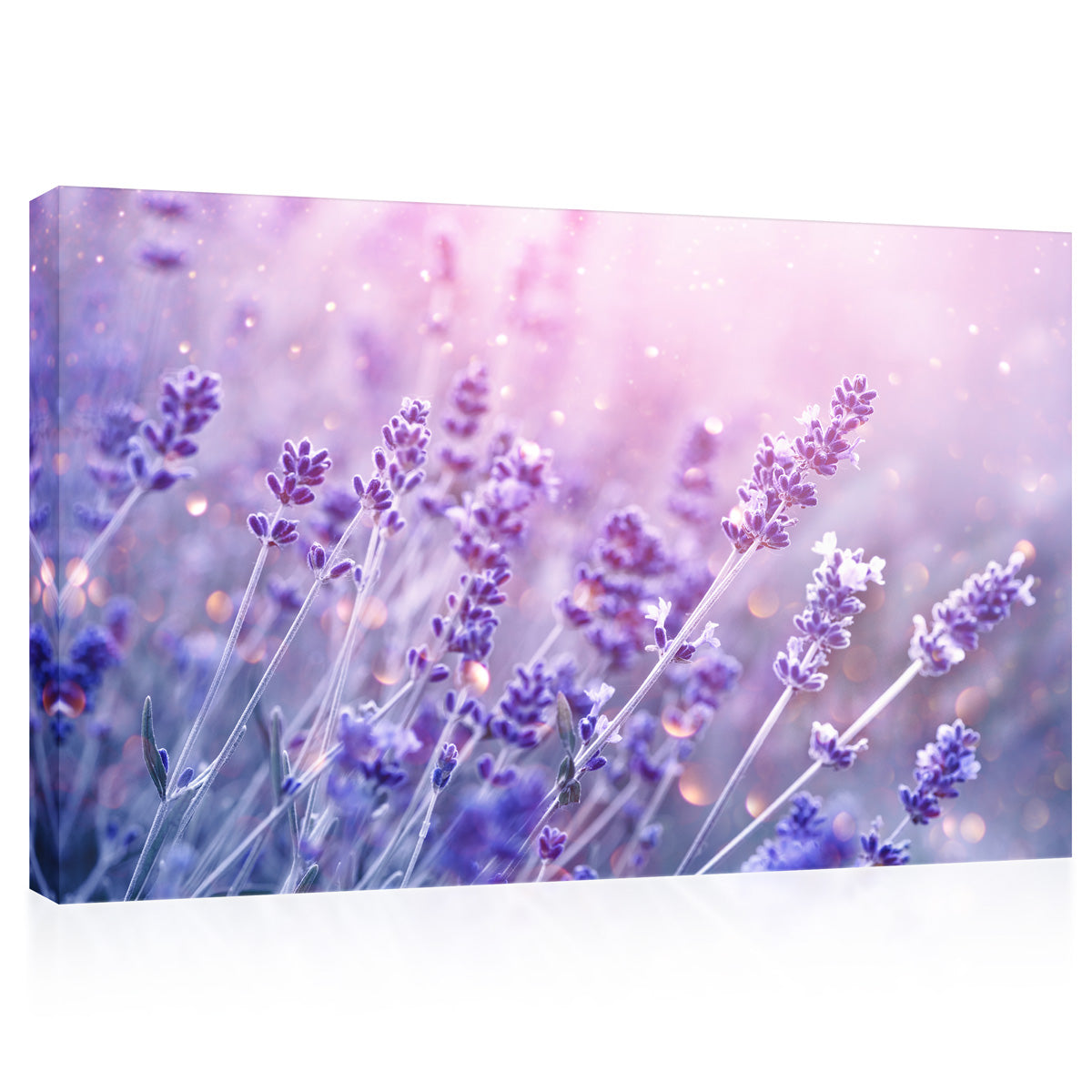 Canvas Print -  Magical Purple Lavender Flowers #E0794