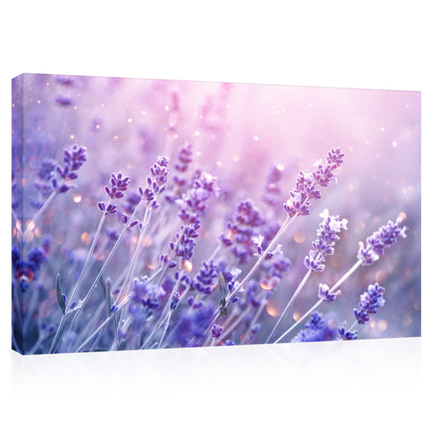 Canvas Print -  Magical Purple Lavender Flowers #E0794