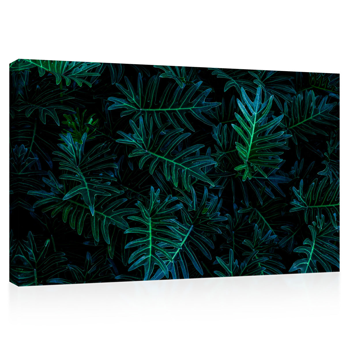 Impression sur toile - Feuilles tropicales vertes #E0826