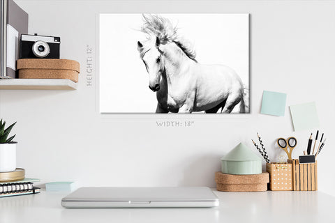 Impression sur toile - Cheval Arabe Blanc #E0911