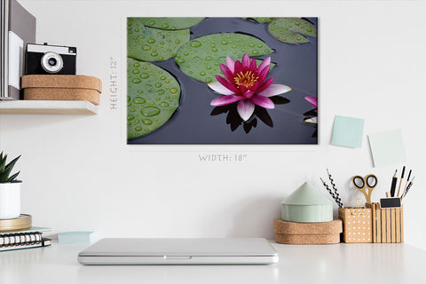 Canvas Print -  Purple Water Lily On The Pond #E0837