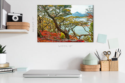 Canvas Print -  Magical Austral Forest In Tierra Del Fuego National Park #E0967