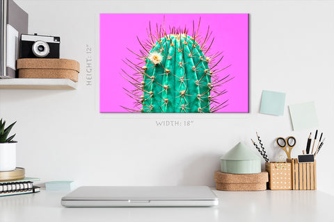 Canvas Print -  Green Cactus On Pink Background #E0804