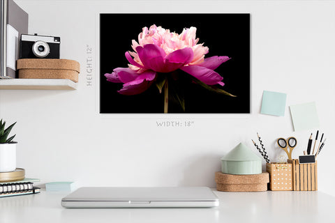 Impression sur toile - Pivoine rose #E0692