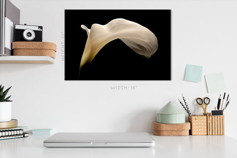 Canvas Print -  Big White Arum Lily #E0686