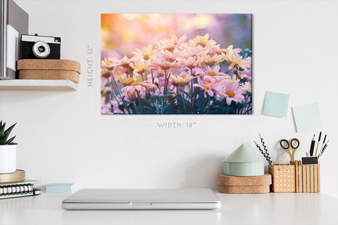 Canvas Print -  Sunset Light At Pink Flowers #E0653