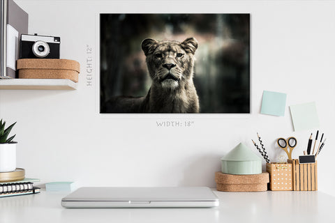 Canvas Print -  Portrait Of Lion #E1030