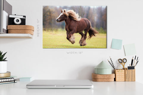 Canvas Print -  Beautiful Noble Horse #E1013