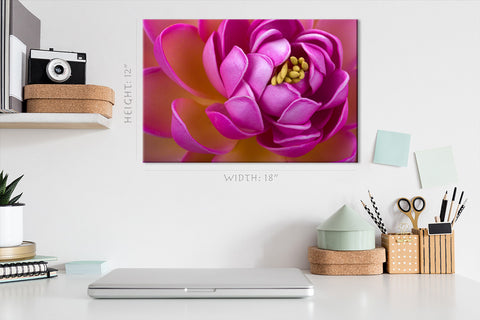 Canvas Print - Crimson Lotus Flower #E0658