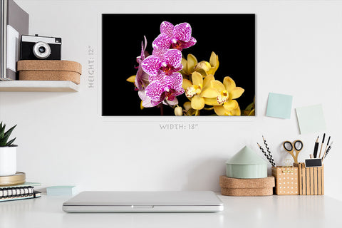 Canvas Print -  Multicolored Orchids #E0682