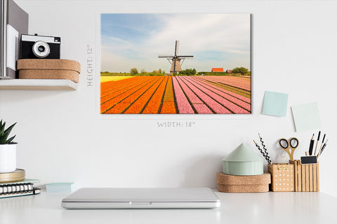 Impression sur toile - Champ fleuri de tulipes colorées et moulin à vent #E0741