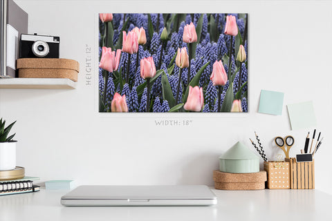 Impression sur toile - Tulipes roses et jacinthes muscari #E0754