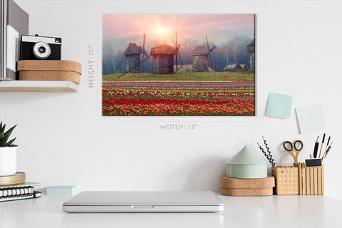 Canvas Print -  Plantation Of Tulips And Old Mills #E0730