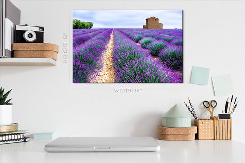 Canvas Print -  Lavender Field #E0758