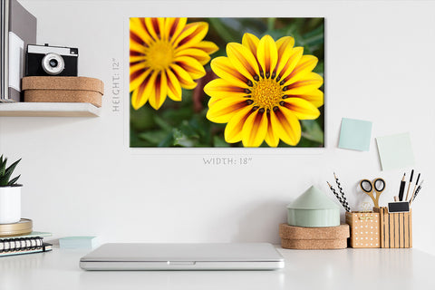 Impression sur toile - Fleur tropicale Gazania #E0696