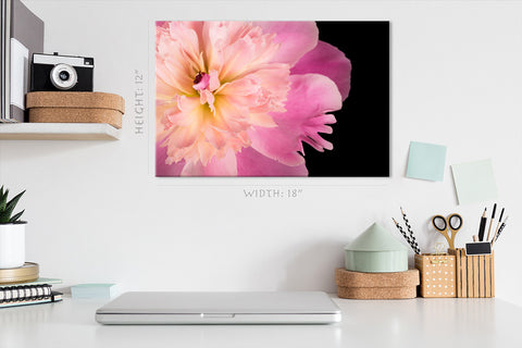 Canvas Print -  Pink Peony #E0688