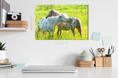 Canvas Print -  Two Appaloosa Ponies On The Meadow #E0902