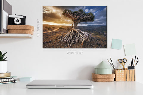 Canvas Print -  Dragon Trees At Dixam Plateau #E0959