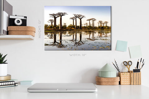 Canvas Print -  Baobab Trees At Sunny Day #E0994