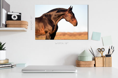 Canvas Print -  Portrait Of A Brown Horse #E0954