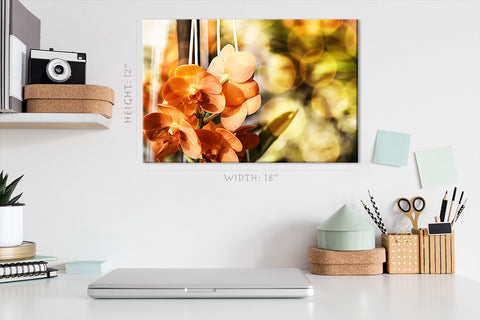 Impression sur toile - Morning Light At Orange Phalaenopsis #E0636