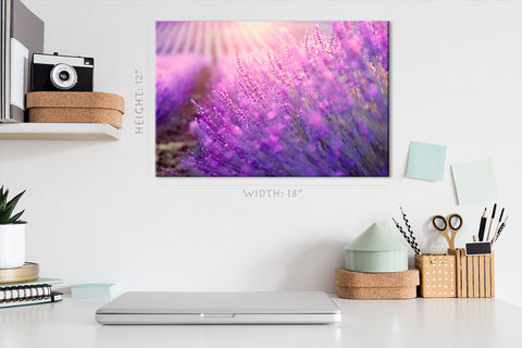 Impression sur toile - Fleurs de lavande en fleurs #E0791