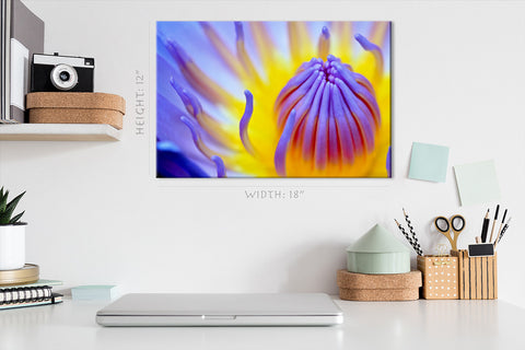 Impression sur toile - Pollen de nénuphar violet #E0651