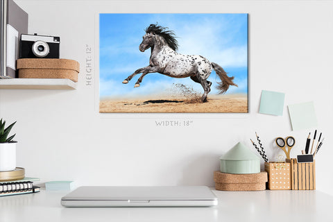 Impression sur toile - Cheval Appaloosa #E0903