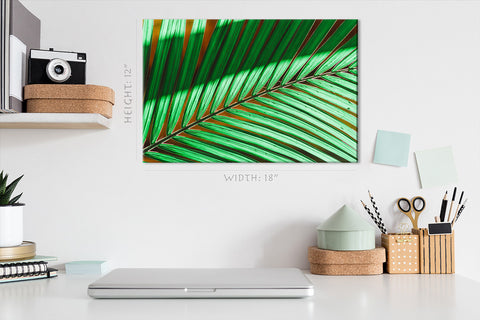 Canvas Print -  Green Palm Branch #E0716