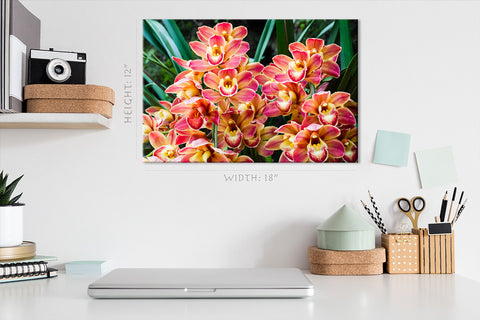 Canvas Print -  Bouquet Of Beautiful Orchids #E0721