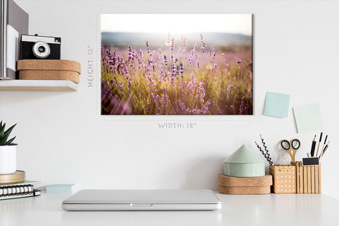 Canvas Print -  Lavender Field At Morning #E0790