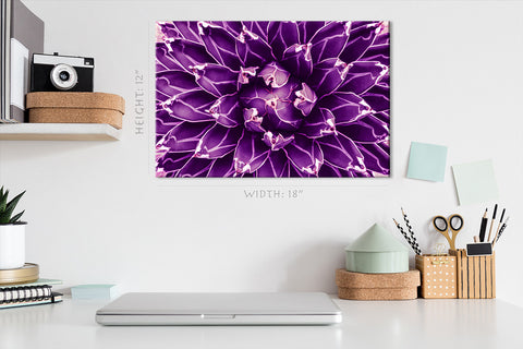 Canvas Print -  Agave Cactus, Violet Toned #E0647