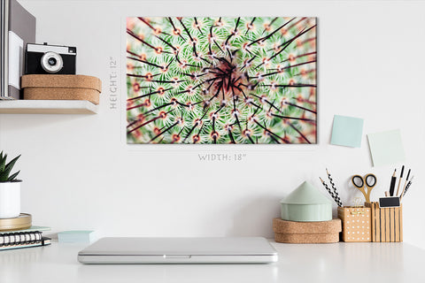 Impression sur toile - Cactus épineux #E0637