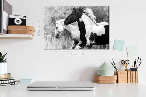 Canvas Print -  Two Horses In Forest #E0913