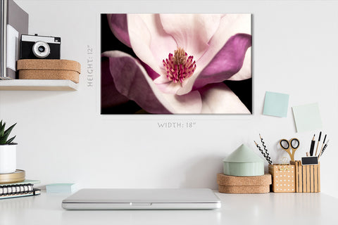 Impression sur toile - Magnolia rose clair #E0693