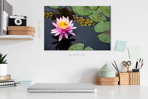 Canvas Print -  Pink Water Lily #E0836