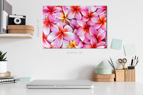 Canvas Print -  Frangipani Flowers #E0672