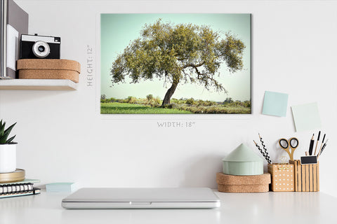 Canvas Print -  Old Peepal Tree #E1011