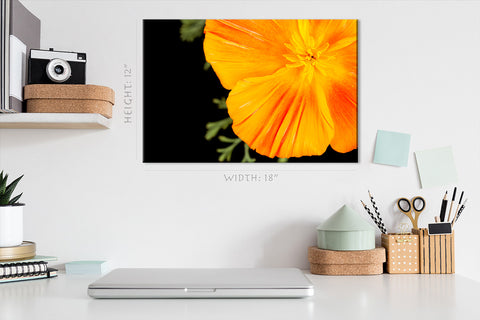 Impression sur toile - Eschscholzia orange #E0677