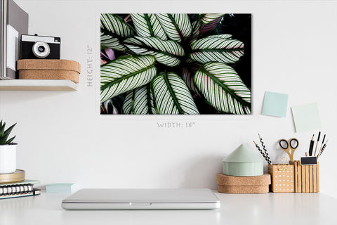 Canvas Print -  Striped Tropical Leafs #E0634