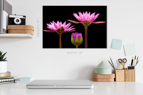 Canvas Print -  Incredible Water Lilies #E0667