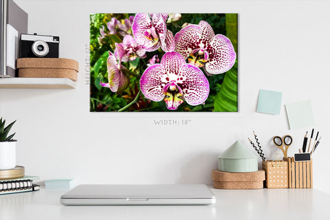 Canvas Print -  White And Purple Orchid #E0678