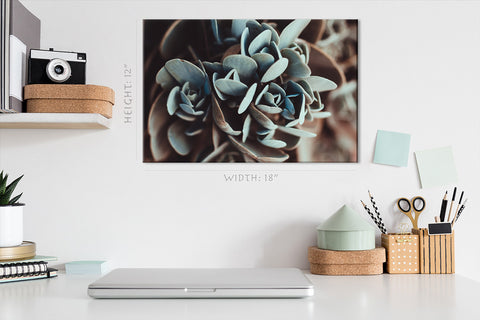 Canvas Print -  Green Succulent Plant #E0717