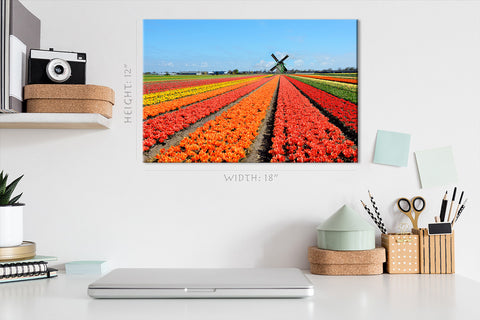 Impression sur toile - Tulipes colorées #E0750